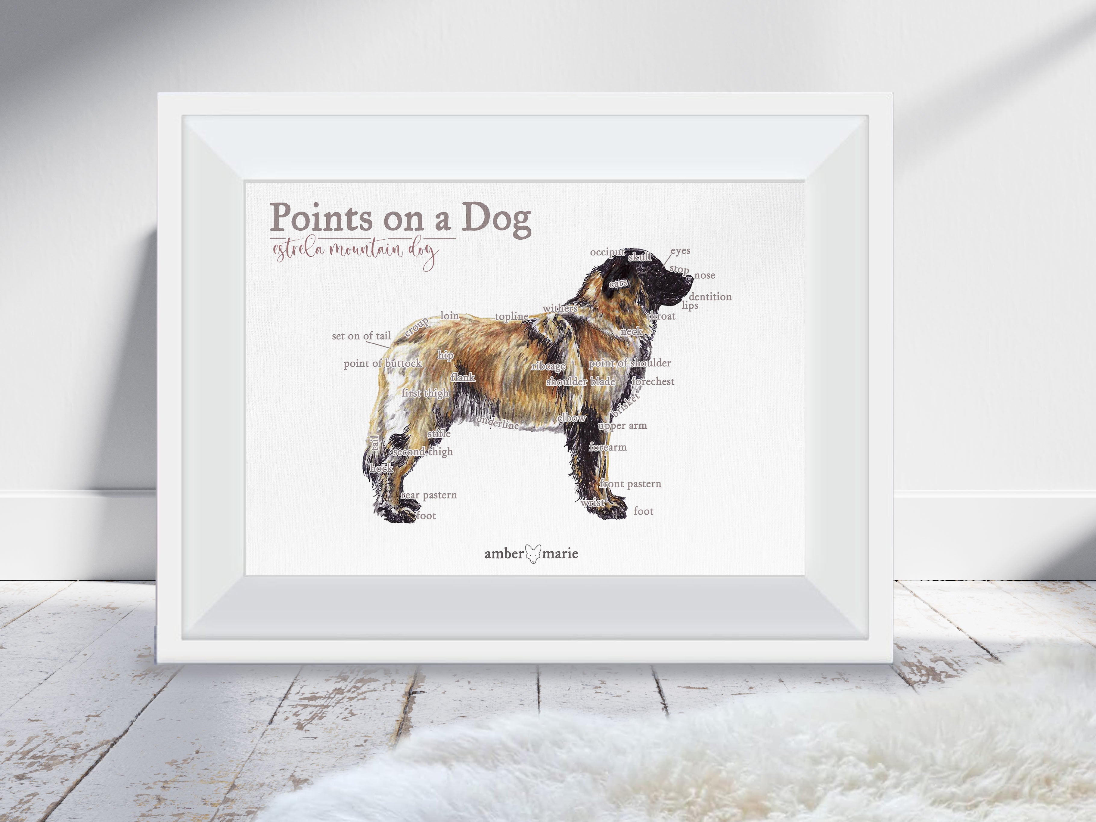 Estrela Mountain Dog - Points on a Dog & Gait Analysis Poster Prints ...