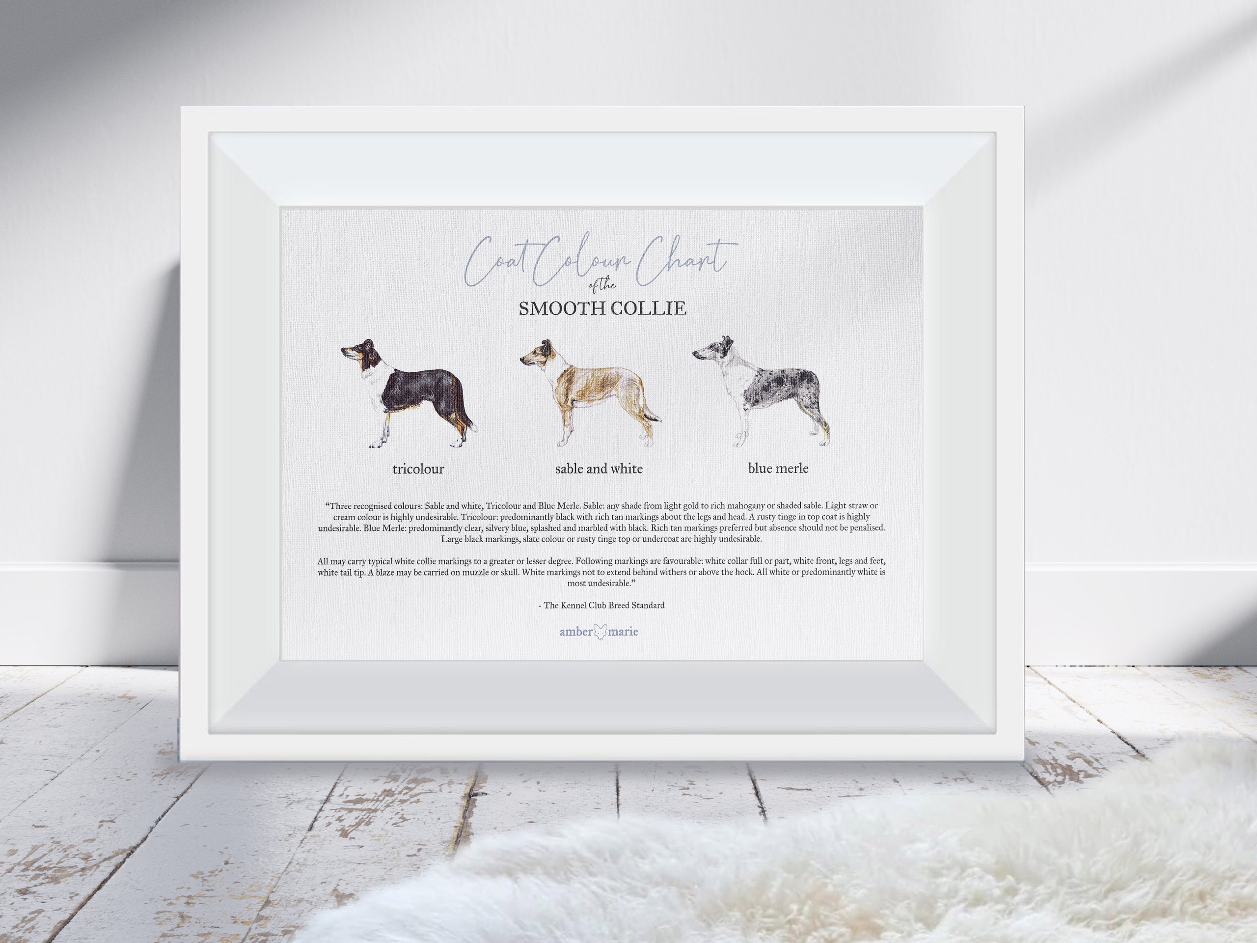Smooth Collie - Coat Colour Chart - Poster / Print - Judge's Gift - Dog ...